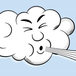 Accessoires: Tunnel House Extreme Weather Bracing Addition