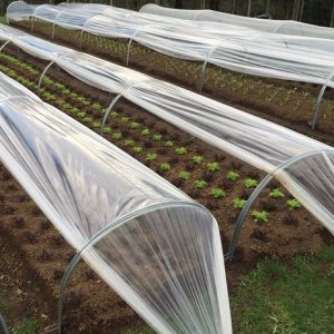 Home Gardner Cloche System: Hoop Cloche Garden System