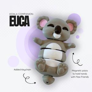 Products: Euca the Koala Companion