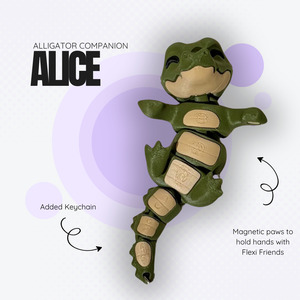 Alice the Alligator Magnetic Companion