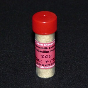 Products: Lactobacillus helveticus - The Urban Cheese Christchurch