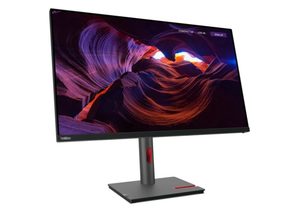 Lenovo ThinkVision E24-29 23.8 FHD 16: 9 WLED Monitor