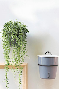 Key: Self-Watering Pot Set - Pot & Metal Hanger