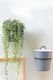 Self-Watering Pot Set - Pot & Metal Hanger