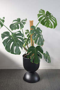 Nova Large Metal Plant Stand