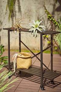 Plant Pot: Erik 2 Tier Metal Plant Stand - Charcoal