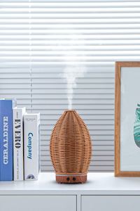 Humidifiers Diffusers: Amazonia Air Humidifier and Diffuser with Night Light