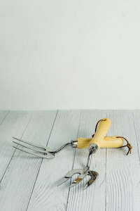 Plant Gardening Tools: Ambros Garden Tool - Hand Fork