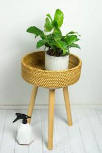 Plant Stands Shelves: Kirana Rattan Side Table & Plant Stand