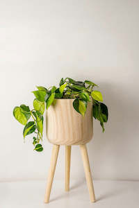 Plant Stands Shelves: Paulownia Wooden Plant Cover Pot with Stand 21cm