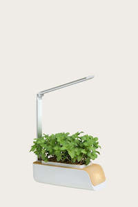 Plant Grow Lights: Smart Indoor Hydroponics Grow Kit with LED Grow Lights