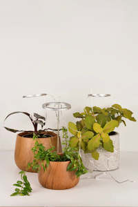 Plant Grow Lights: Halo Plant LED Grow Light Set - 2.0 Generation