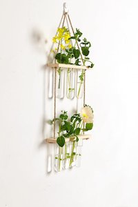 Home Plant Decor Gifts: 2 Tier Wall Hanging Test Tube Propagation Station - Natural