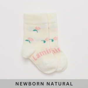 Baby Child: Lamington Merino Baby Crew Length Socks - Rosa
