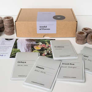 Indoor Plants: Gibson & Green Grow Kit - Armful Of Flowers