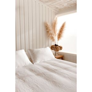 Skincare: New Moon Silk Pillowcase Set - Ivory