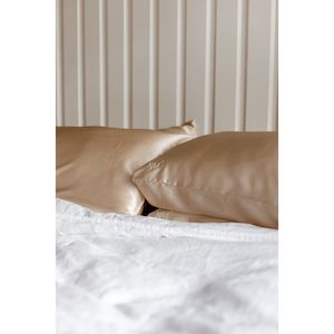 Skincare: New Moon Silk Pillowcase Set - Champagne