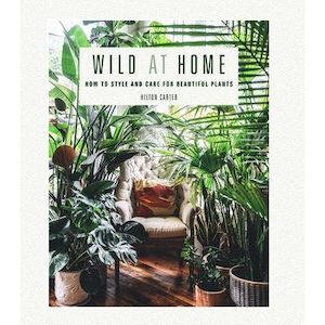Read: Wild At Home - How to Style And Care For Beautiful Plants