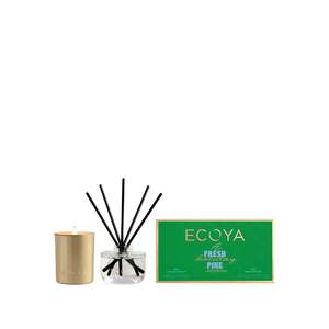 Christmas: Ecoya Holiday Collection Gift Set - Fresh Pine
