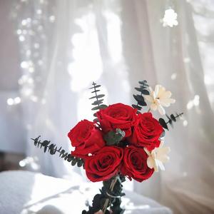 Red Roses – Scarlet Serenity - Urban Roots