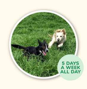 Adventure Walking Groups: 5 x Full Day Adventure - Adrenaline Junky Walk