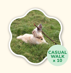 Adventure Walking Groups: Prepaid 10 x Half Day Adventure - Scratch n Sniff Walk