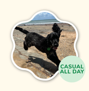 Adventure Walking Groups: Full Day Adventure - Adrenaline Junky Walk