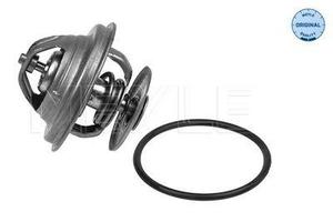 Thermostats: MAN Thermostat and Seal Engine Coolant