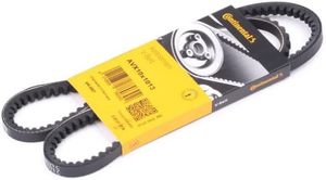 Belts: BMW V Belt