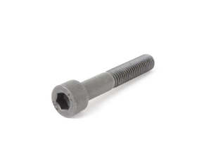 BMW Fillister Head Screw