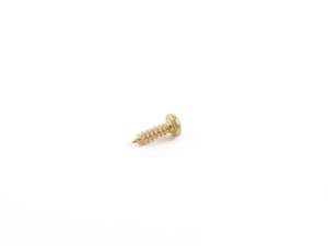 New: BMW Fillister Head Self Tapping Screw