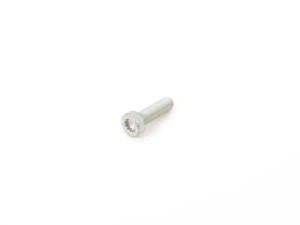 BMW Fillister Head Screw