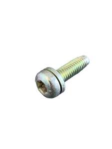 BMW Mini Torx Bolt with Washer