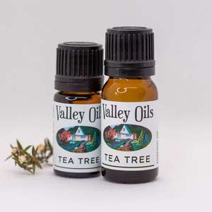 Tea Tree Essential Oil • Valley Oils