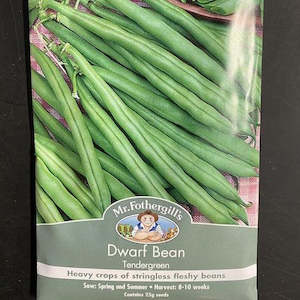 Garden Seeds: Mr. Fothergills Tendergreen Dwarf Bean Seeds