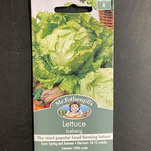 Garden Seeds: Mr. Fothergills Iceberg Lettuce Seeds