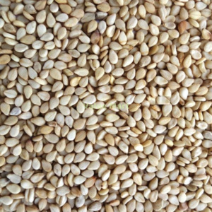 Dry Fruit Nuts: Sesame Seeds Natural 250g