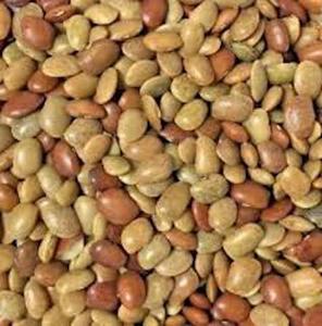 Horse Gram 500g