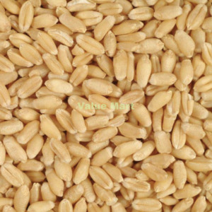 Whole Wheat 500g