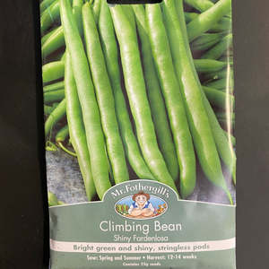 Garden Seeds: Mr. Fothergills Climbing Bean Seeds