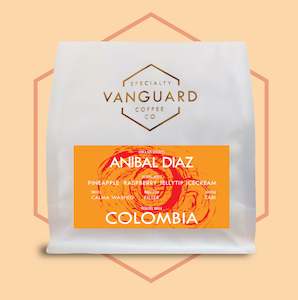 Coffee Beans: Colombia Anibal Diaz Los Nogales Tabi- Filter Roast