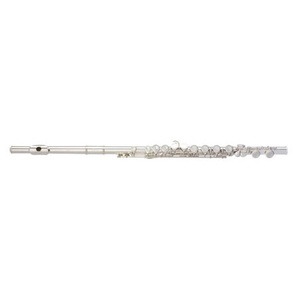 Buying Your First Flute: Eastman 210
