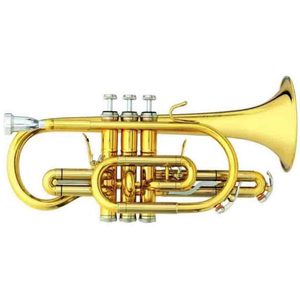 Cornet and Flugel: B&S 3142/2 – GL Brochon Bb Cornet