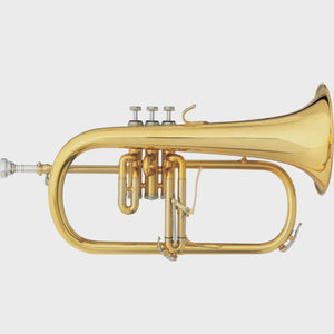 B&S Challenger II 3146 Flugelhorn
