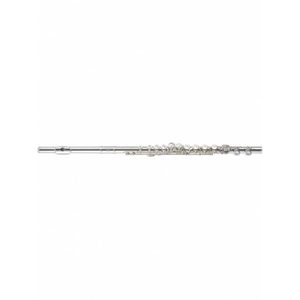 Flute: Muramatsu SRRBE Solid Silver