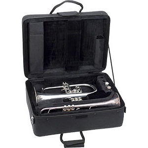 Cases: Protec Trumpet/Flugel case
