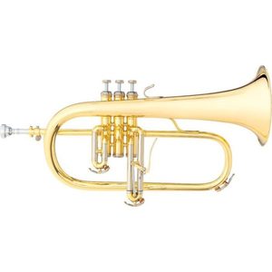 Cornet and Flugel: B&S Challenger I Flugel Horn