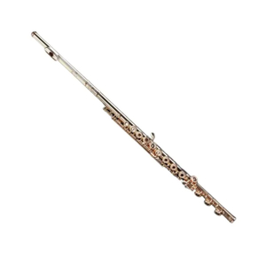 Flute: Di Zhao DZ 801 RBEOCD Flute