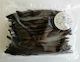 Organic Extract-Grade Vanilla Beans - 500gm pack (bulk)