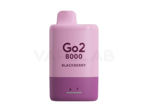 Single-Use Vape: Go2 8000 Single Use Vape Device